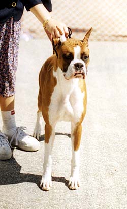 Cleo at 11 months
