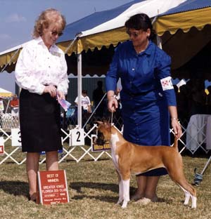 kilo_win1.jpg (22773 bytes)