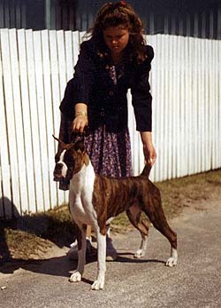 Lyndsey at 11 months