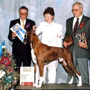Minstrel's Mannheim Steamroller - Best of Winners