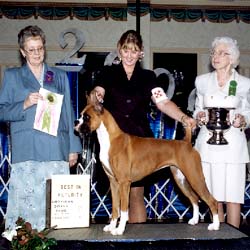 Raypat's Queen of Hearts - Grand Prize Futurity Winner