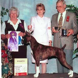 Dreamweaver's Black Cherry - Winners Bitch