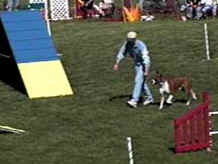 Agility '99 at ABC