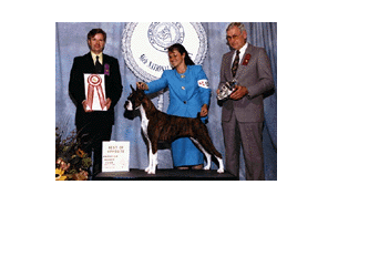 conformation_show.gif (539644 bytes)