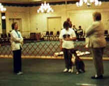 Figure 8 - ABC '99 Obedience