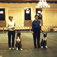obedience copy.gif (33125 bytes)