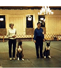 obedience_show.gif (131189 bytes)