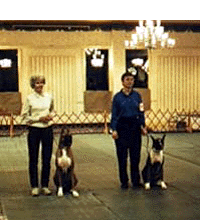 obedience_show.gif (131189 bytes)