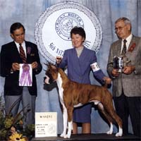 Bee-Mike's One Night Stand - Winners Dog